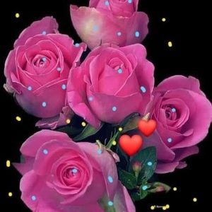 Meet your Posher, Noemi